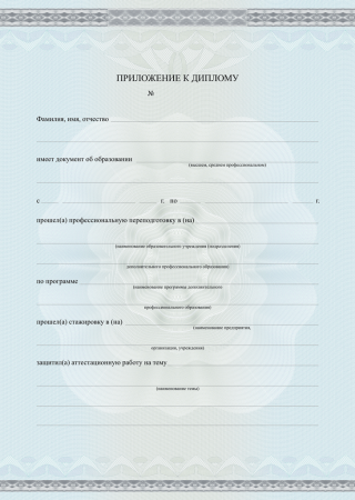 Приложение к Диплому о профессиональной переподготовке (формат А4)