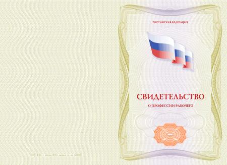 Свидетельство о профессии рабочего (установленный образец)